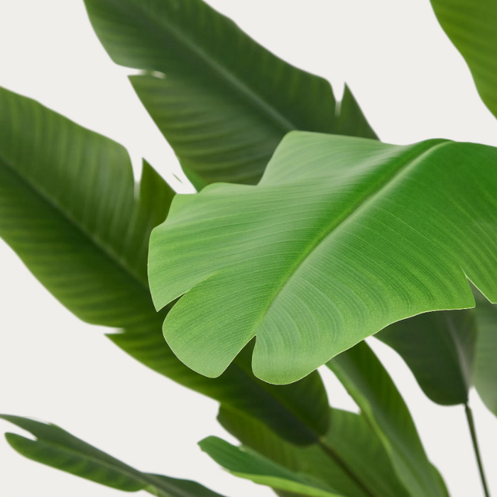 Plante artificielle Bananier
