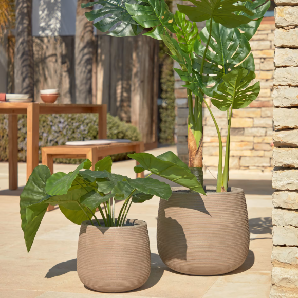 Artificial Alocasia plant