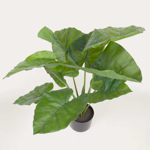 Artificial Alocasia plant