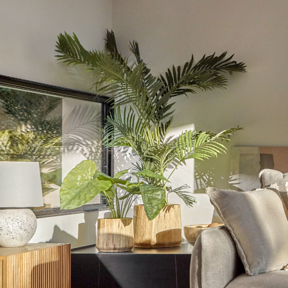 Artificial Alocasia plant
