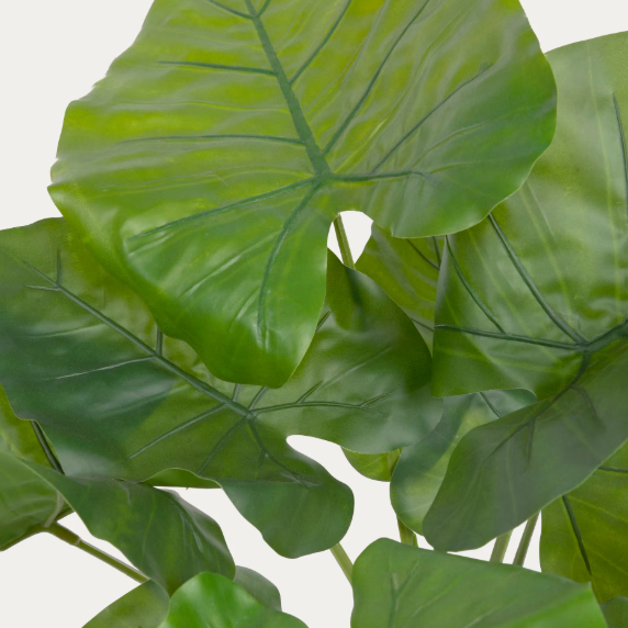 Artificial Alocasia plant