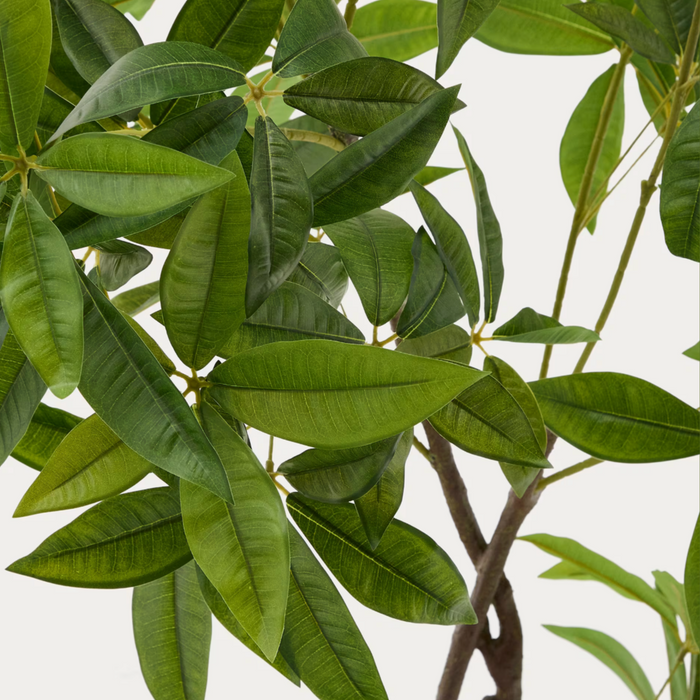 Plante artificielle Pachira