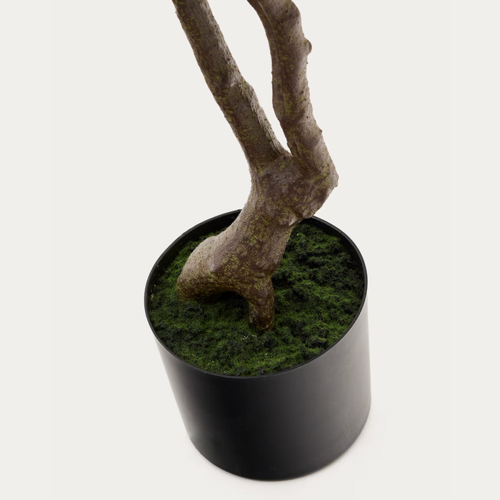 Plante artificielle Pachira