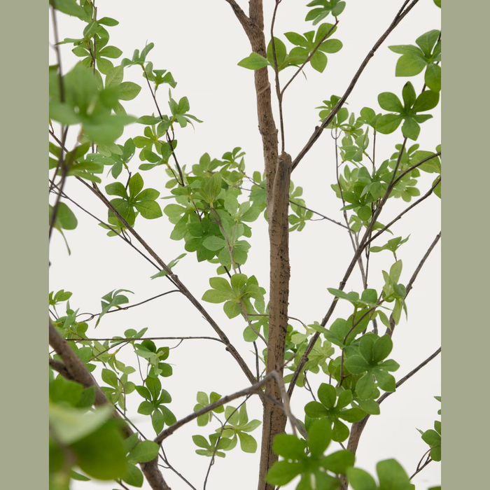 Plante artificielle Enkianthus