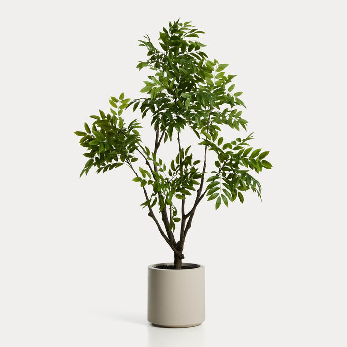 Plante artificielle Calella – vue détourée