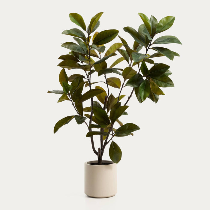 Plante artificielle Magnolia – vue détourée