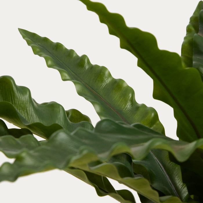 Plante artificielle Girona – vue de côté