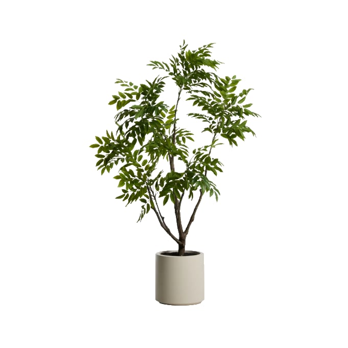 Plante artificielle Calella