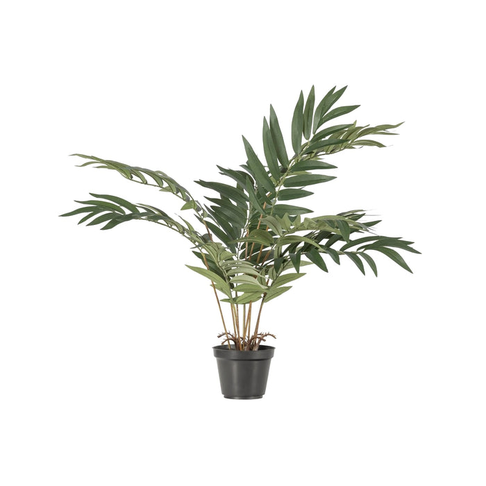 Plante artificielle Kwai
