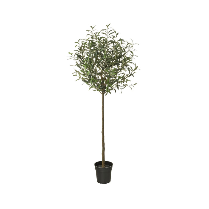 Plante artificielle Olivier – vue détourée